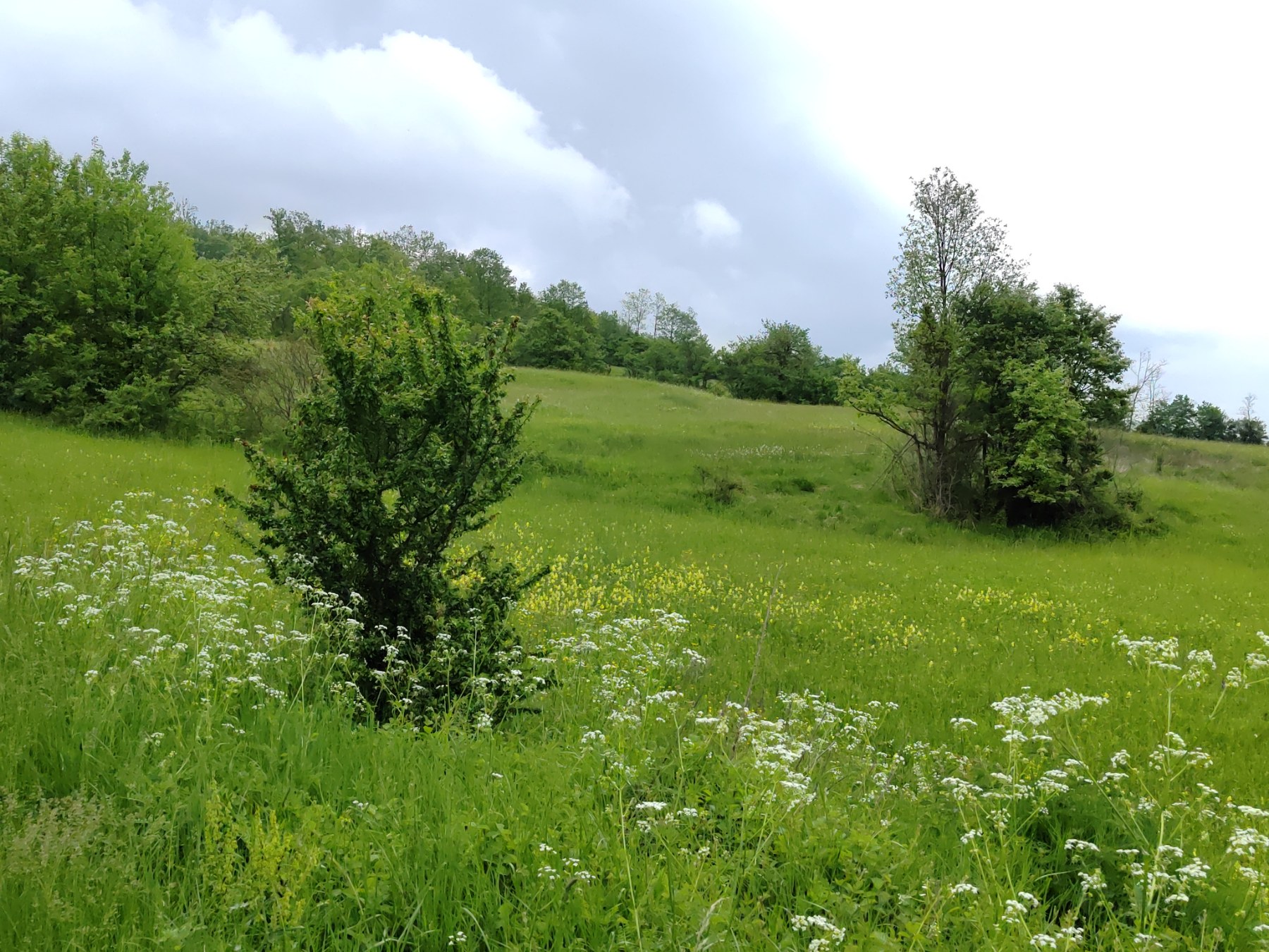 Zlatibor van glavnih ruta, mesta na kojima planina još uvek govori tišinom